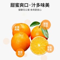 江西正宗贛南臍橙 代發(fā)5/10/20斤新鮮水果爆甜多汁鮮橙果橘甜橙子