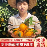 【產(chǎn)地直發(fā)】正宗贛南臍橙江西橙子20斤現(xiàn)摘薄皮當(dāng)季孕婦新鮮水果