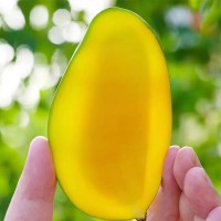 攀枝花小金煌核薄肉質厚5斤8斤普箱禮盒裝一件無痕代發(fā)現(xiàn)貨速發(fā)