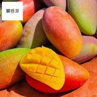 27號發(fā)攀枝花樹上熟細膩小貴妃5斤8斤普箱禮盒裝一件無痕代發(fā)