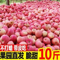 【全年款】陜西紅富士特大蘋果新鮮應季水果脆甜多汁洛川當季批發(fā)