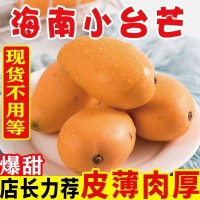 海南小臺芒香甜多汁3/5/9斤整箱批發(fā)代發(fā)包郵