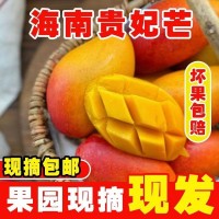 海南貴妃芒香甜多汁新鮮水果3/5/9斤整箱包郵代發(fā)