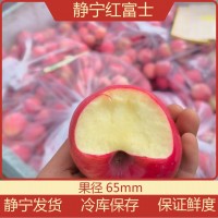 靜寧紅富士小蘋果新鮮蘋果65mm蘋果水果批發(fā)水果一件代發(fā)
