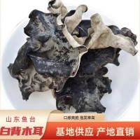 白背木耳干貨批發(fā)毛肚木耳肉厚片大口感脆爽毛木耳白背木耳