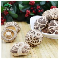 湖北特產(chǎn)白花菇隨州香菇干花菇500G
