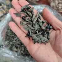 【東北黑木耳】新貨秋木耳干貨小碗耳肉厚特產(chǎn)原生無根老鼠耳