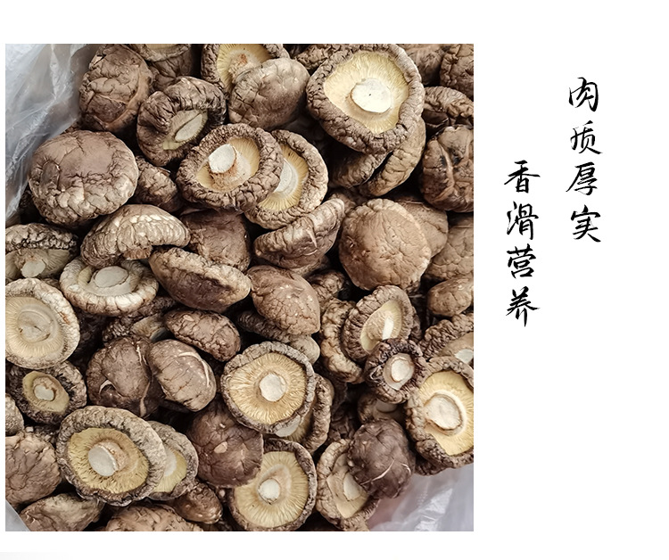 好評(píng)_05