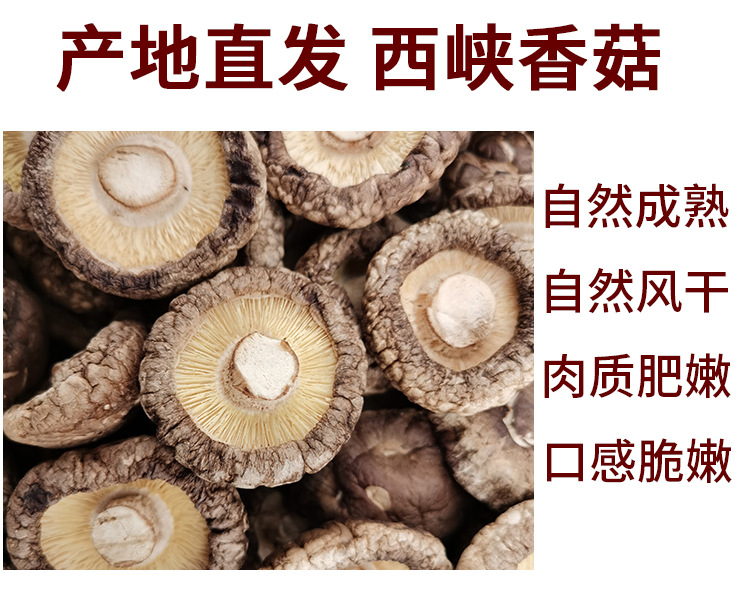 好評(píng)_04