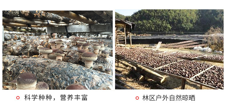 詳情(已修改)_06