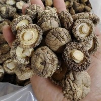 隨州香菇菌菇 2.5小香菇干 隨州冬菇厚菇干貨廠家 可出口香菇