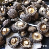 西峽香菇干貨500g產(chǎn)地直發(fā)冬厚菇薄菇香信批發(fā)散裝香菇干剪腳新貨