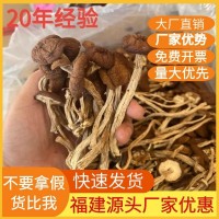 福建古田干茶樹菇不開傘干貨菌菇500g袋裝茶薪菇食用菌菇產(chǎn)地批發(fā)