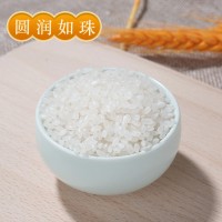 東北小町米 50斤家庭裝正宗松花江大米軟糯香甜現(xiàn)貨批發(fā)當(dāng)季新米