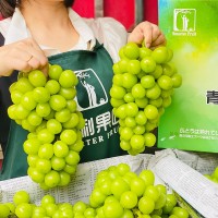 順豐包郵5.5斤禮盒裝云南青印晴王陽光玫瑰青提葡萄新鮮水果香印