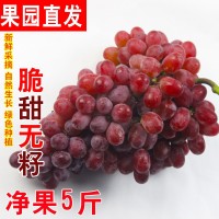 順豐包郵克倫生葡萄新鮮新疆無籽紅提小蜜蜂紅寶石脆甜無核2斤