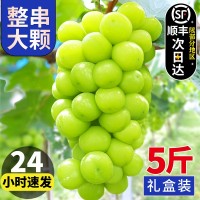 陽光玫瑰葡萄晴王水果新鮮應(yīng)當(dāng)季整箱禮盒香印青提子2斤1斤順