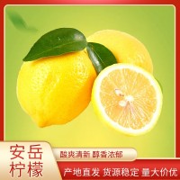 產(chǎn)地直供四川安岳黃檸檬新鮮整箱當(dāng)季水果精選皮薄甜多汁檸檬