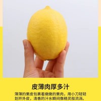 產(chǎn)地直供四川安岳黃檸檬新鮮整箱當(dāng)季水果精選皮薄甜多汁檸檬