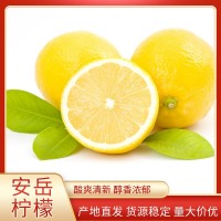 產(chǎn)地直供四川安岳黃檸檬新鮮整箱當(dāng)季水果精選皮薄甜多汁檸檬