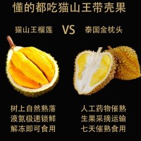 貓山王榴蓮D197AA果原箱整件馬來西亞進口液氮冷凍新鮮批發(fā)