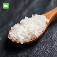 五常長(zhǎng)粒香米5kg10斤裝廠家產(chǎn)地直發(fā)