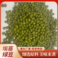 埃塞綠豆 五谷雜糧廠家批發(fā)