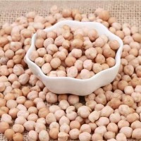 小鷹嘴豆印度大鷹嘴豆天麻子雞心豆 小鷹嘴豆