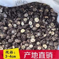 金錢(qián)小香菇根短肉厚產(chǎn)地直批冬菇500g散裝批發(fā)香菇干香菇香菇干