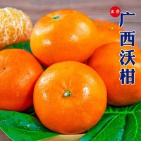 正宗廣西沃柑超甜多汁橘子當(dāng)季新鮮水果批發(fā)薄皮桔子現(xiàn)摘現(xiàn)發(fā)甜柑