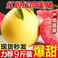 正宗廣西容縣三紅蜜柚紅心柚子薄皮香甜多汁柚子新鮮紅蜜柚沙田柚