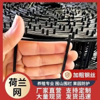 鍍鋅浸塑圍欄 養(yǎng)殖金屬防護(hù)網(wǎng) 果園圈地鐵絲網(wǎng)