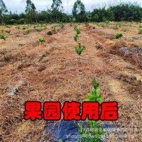 【10斤】草銨-草甘膦5公斤柑橘園果園雜草強(qiáng) 力除草劑