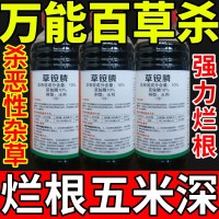萬(wàn)能百草殺鹽除草草安草銨磷草胺磷除牛筋草小飛蓬農(nóng)藥強(qiáng)力除草劑