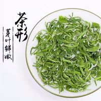 四川碧螺春新茶葉高山綠茶葉明前濃香型耐泡綠茶禮盒批發(fā)500g