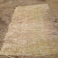 世紀(jì)緣稻草簾子 防寒綠化草簾 隔熱保暖草苫子