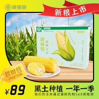 田里有草甜田苞甜糯玉米即食真空玉米產(chǎn)地批發(fā)招代理一件代發(fā)