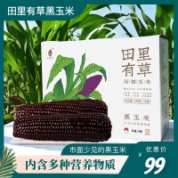 田里有草黑玉米甜糯玉米即食真空玉米產(chǎn)地批發(fā)招代理一件代發(fā)