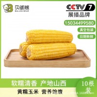 山西雜糧之都 BALLON REAR貝朗熊 新鮮黃糯玉米穗真空包裝220g