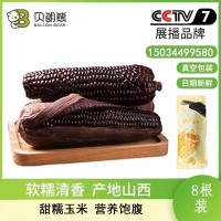 貝朗熊【新鮮有機黑糯玉米】軟糯香甜產(chǎn)自山西 8根禮盒裝