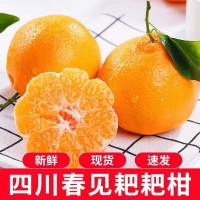 涼慕四川耙耙柑春見應(yīng)季新鮮水果柑橘甜柑不知火丑八怪柑橘子整箱