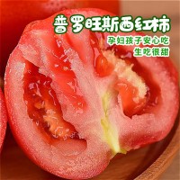 涼慕攀枝花普羅旺斯番茄自然熟西紅柿露天新鮮洋柿子薄皮水果蔬菜