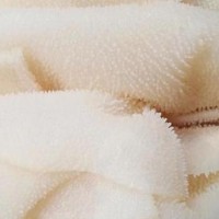 千層肚5斤新鮮整個(gè)黑白毛肚商用批發(fā)牛百葉牛肚牛雜火鍋食材冒菜