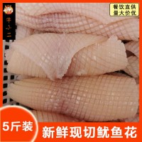 5斤新鮮大魷魚花冷凍魷魚卷生凍鮮墨魚花目魚筒商用海鮮水發(fā)魷魚