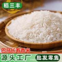 原生態(tài)農家米新大米長粒香米軟糯早稻長壽之鄉(xiāng)米油粘米農產