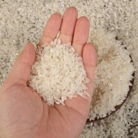 廠商供應寶應大米50斤一袋 新鮮現(xiàn)磨新米炒飯煮粥支持批發(fā)