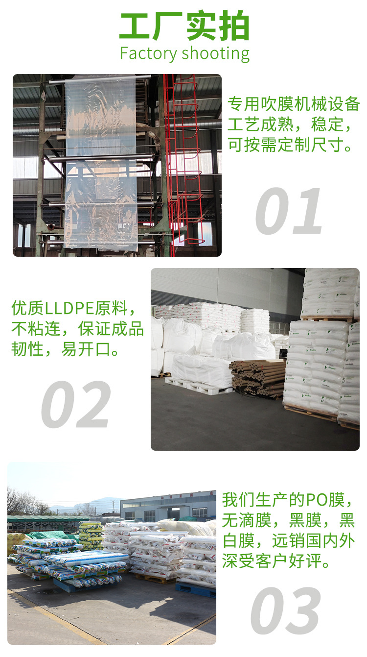 白膜工廠圖片