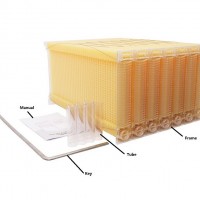 廠家 亞馬遜 養(yǎng)蜂工具 巢框 Flow hive 自動(dòng)取蜜蜂箱 自流蜜蜂箱