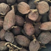 香料大全八角桂皮小茴香葉草果山奈砂仁白扣蓽撥丁香孜然調(diào)味鹵料