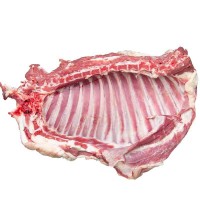 新疆羊肉工廠生鮮國(guó)產(chǎn)新鮮包郵4斤羔羊排羊肉手抓整扇燒烤商用